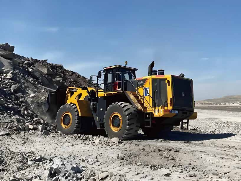 Твердые шины